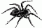 L'avatar di ragno